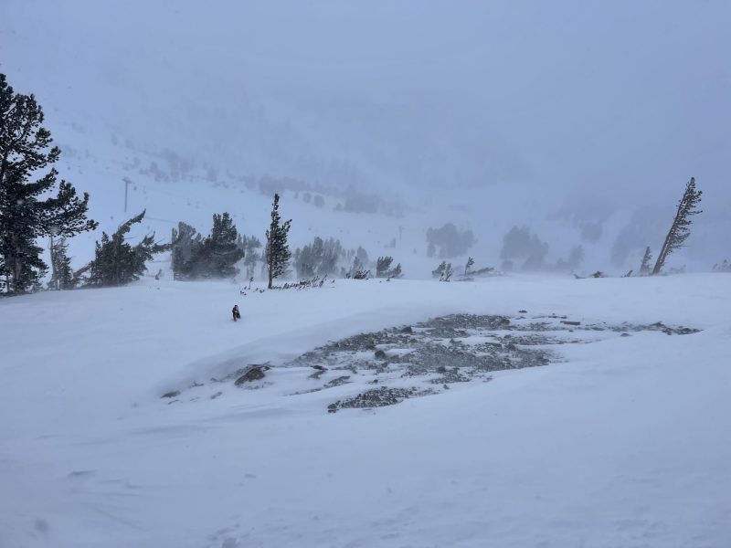 Freshies at Mammoth