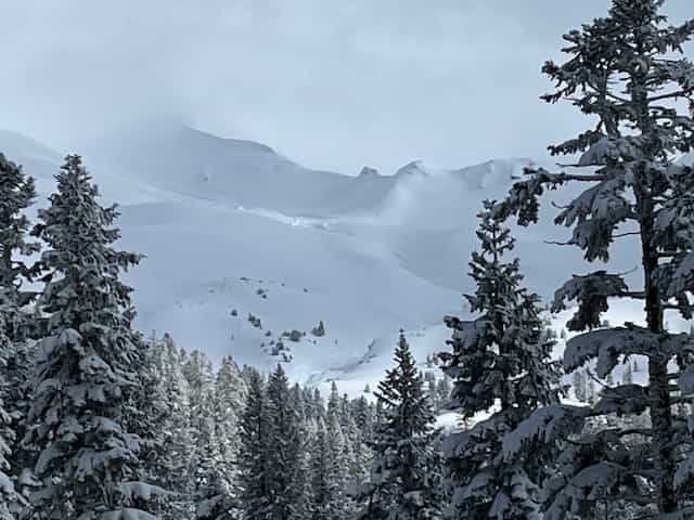 Mt Shasta avalanche