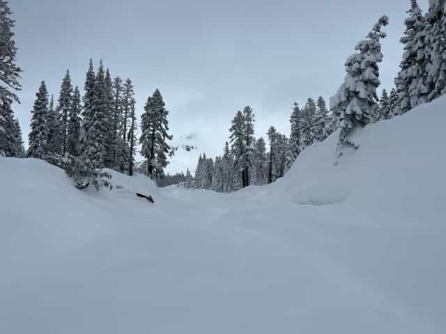 Mt Shasta avalanche