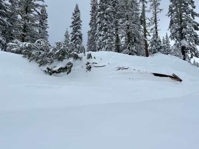 Mt Shasta avalanche