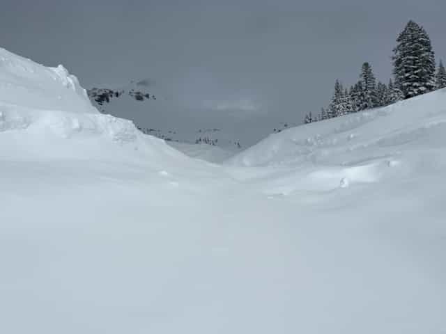 Mt Shasta avalanche