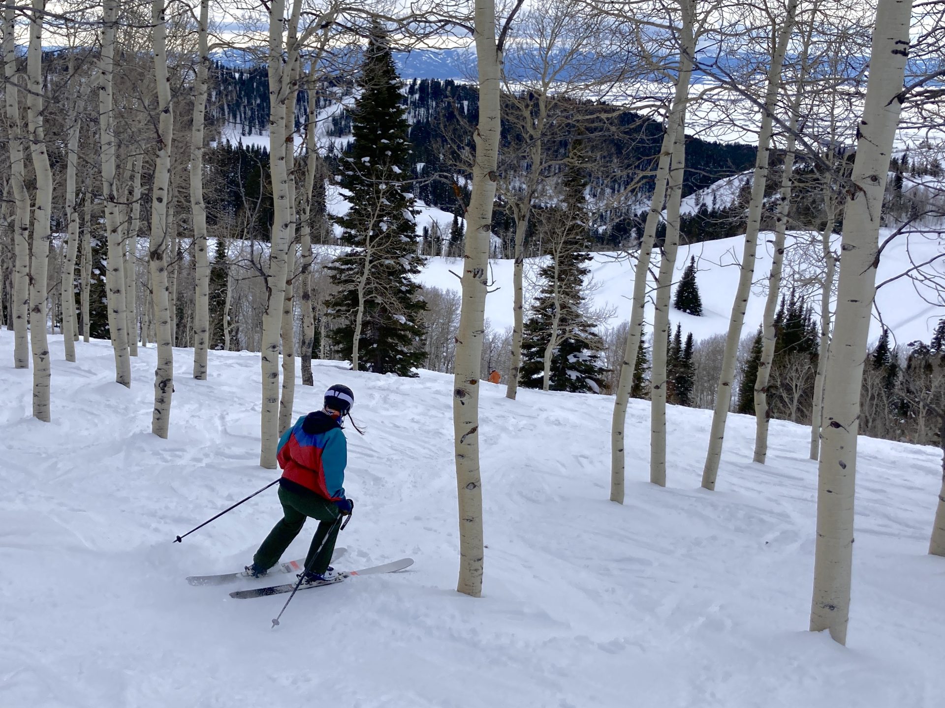 skier in aspen grove at Grand Targhee