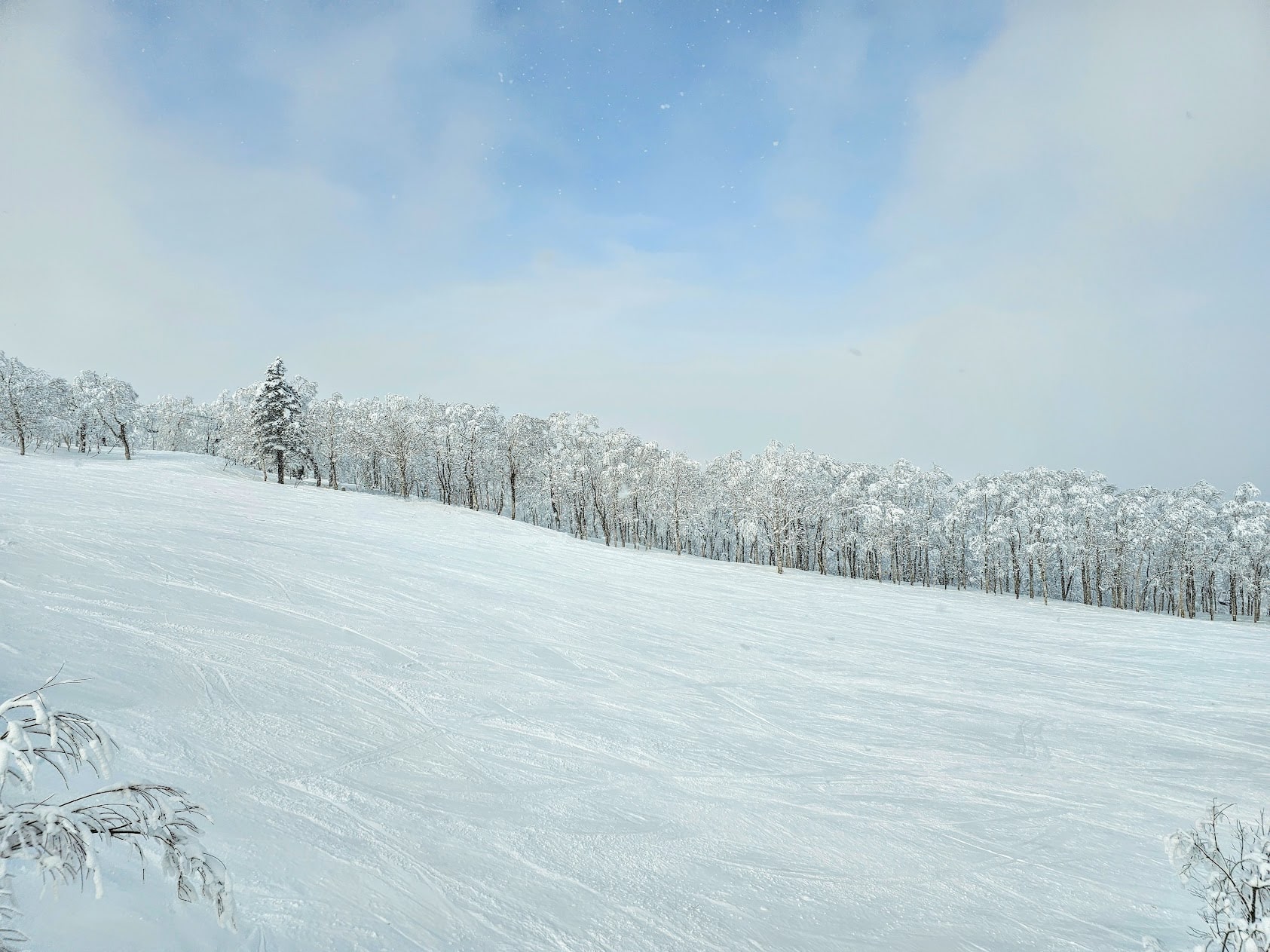 empty slopes