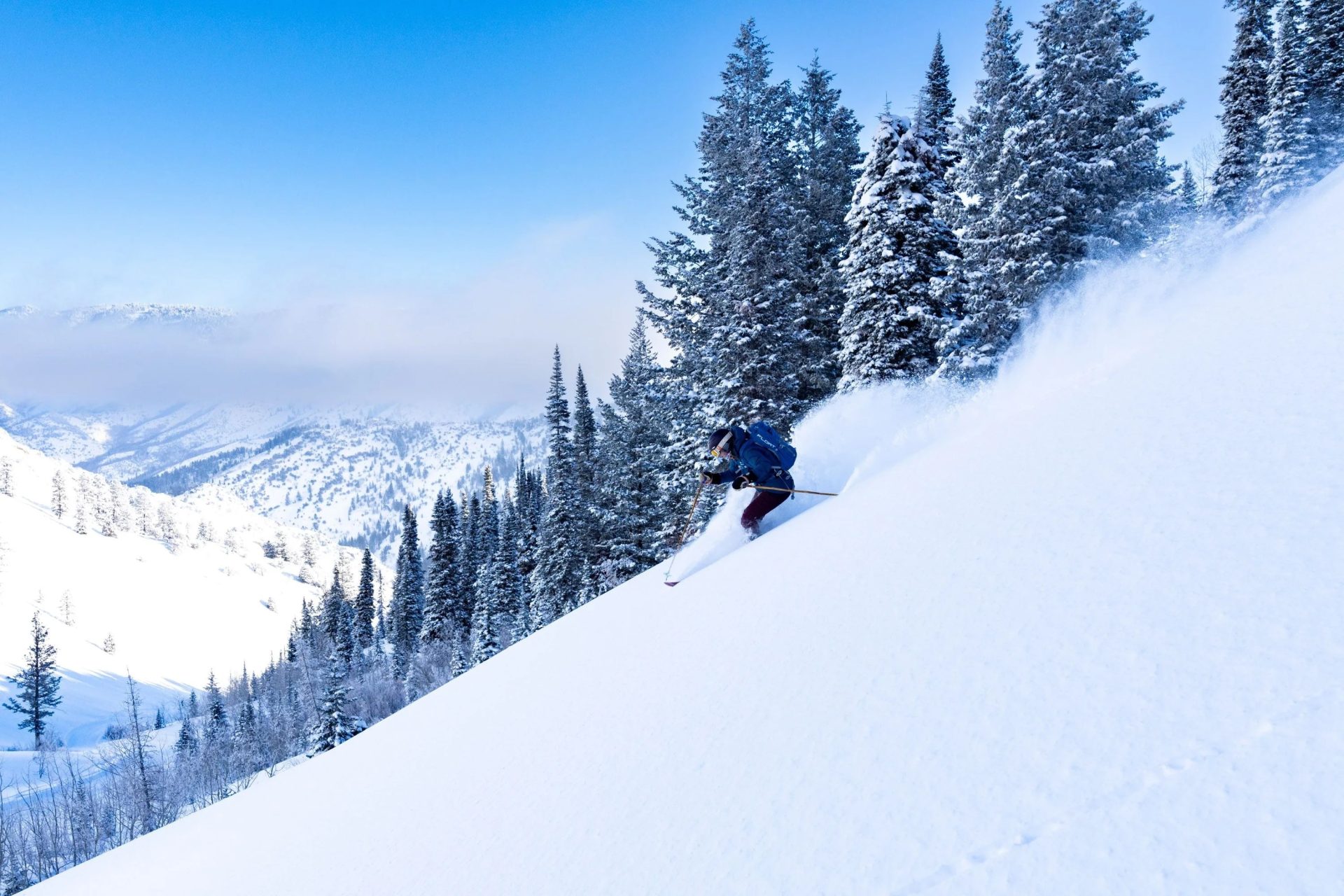 skiing powder at powder mountain utah