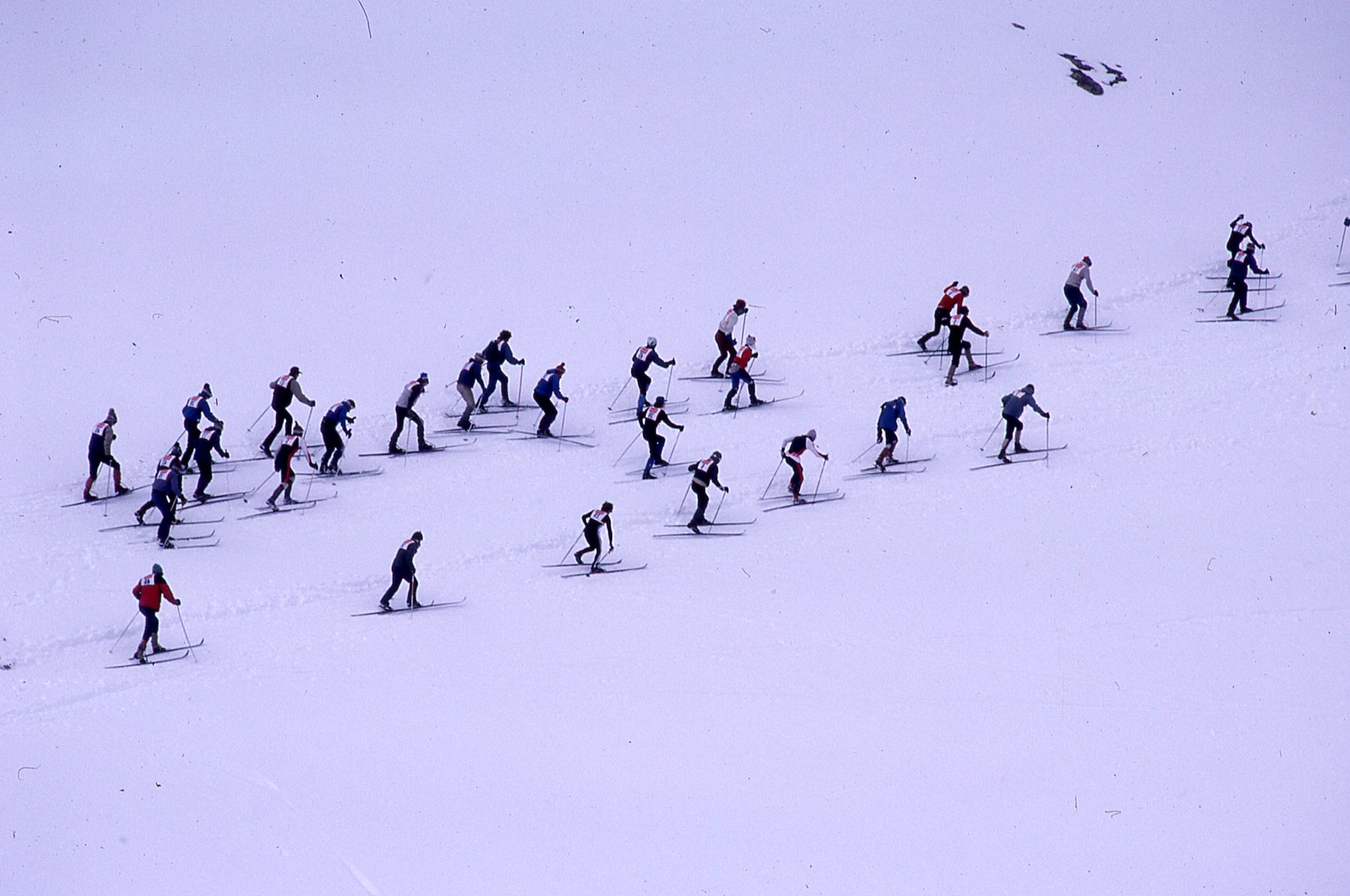 Uphill climb during a older Al Johnson Memorial Telemark Race