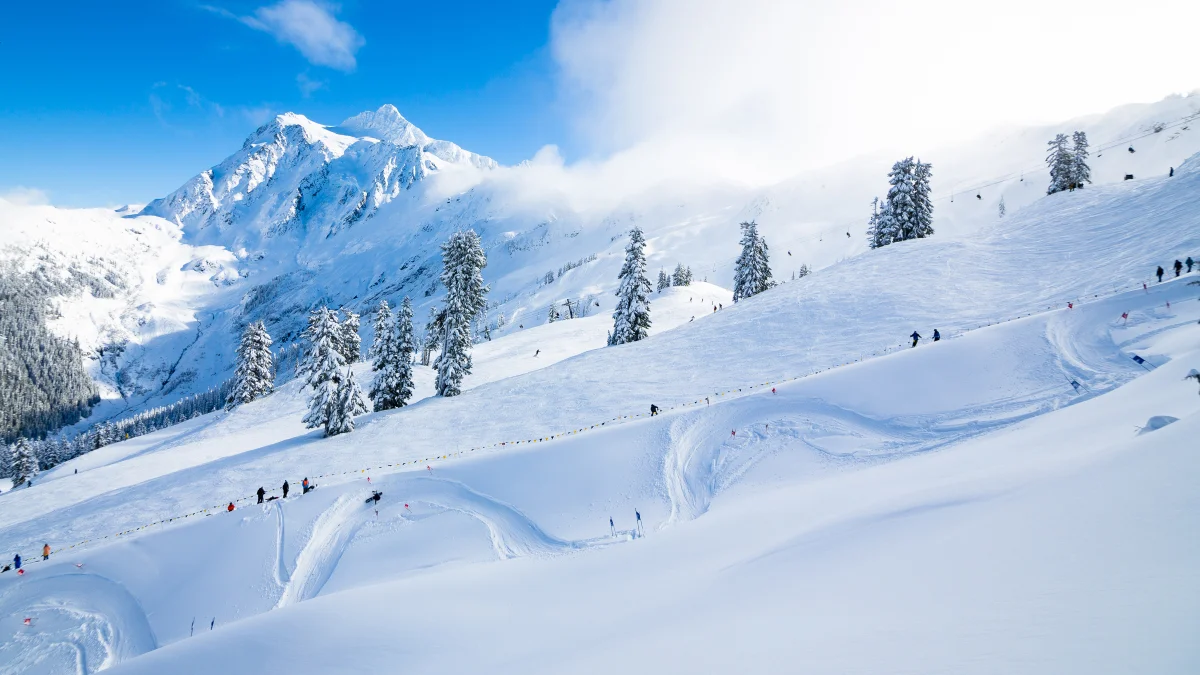banked slalom