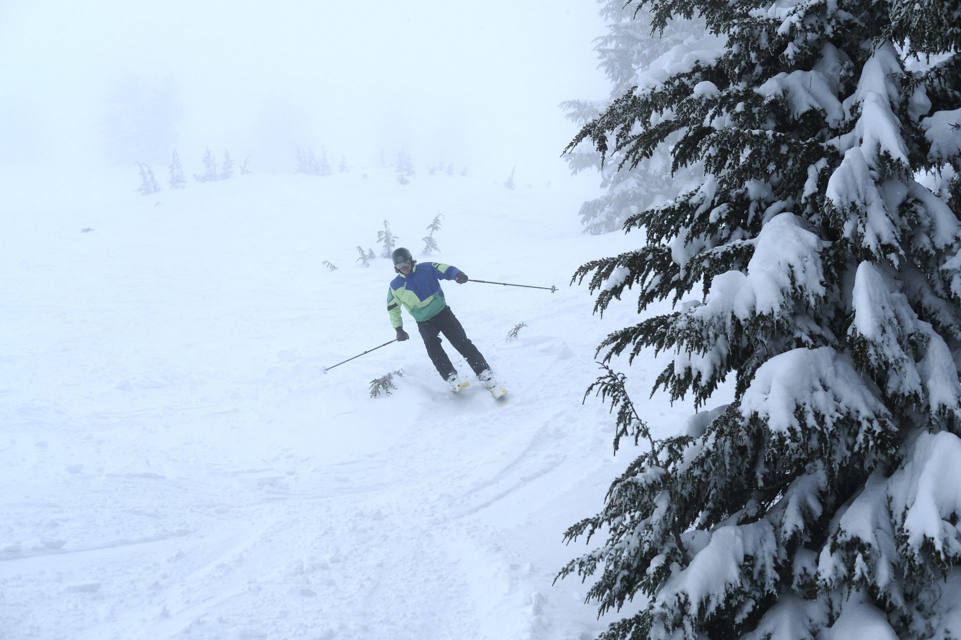 skier laying into a turn