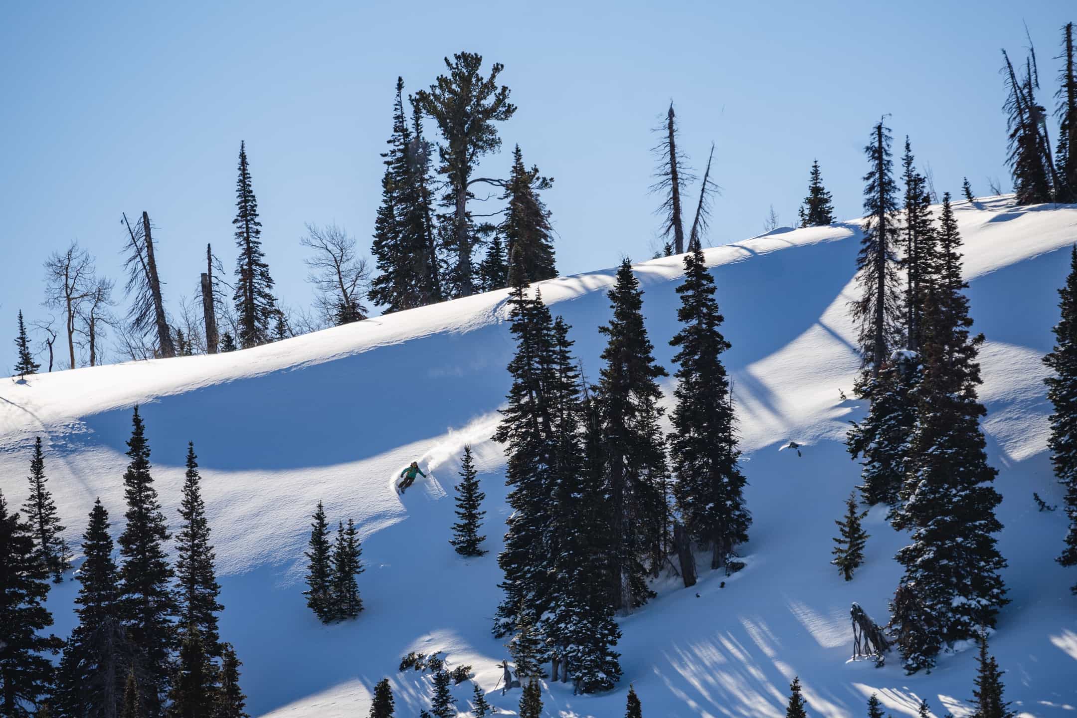 skier on snowy slope with trees and blue sky