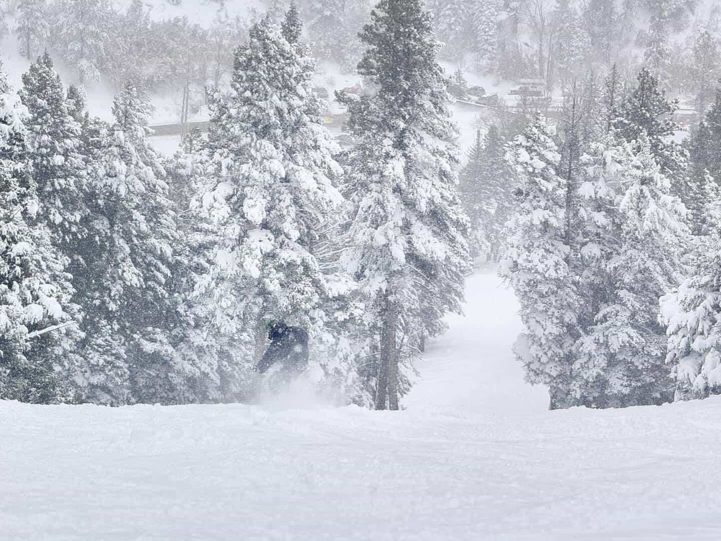 snowboarder in deep snow at snowy sipapu ski resort New Mexico
