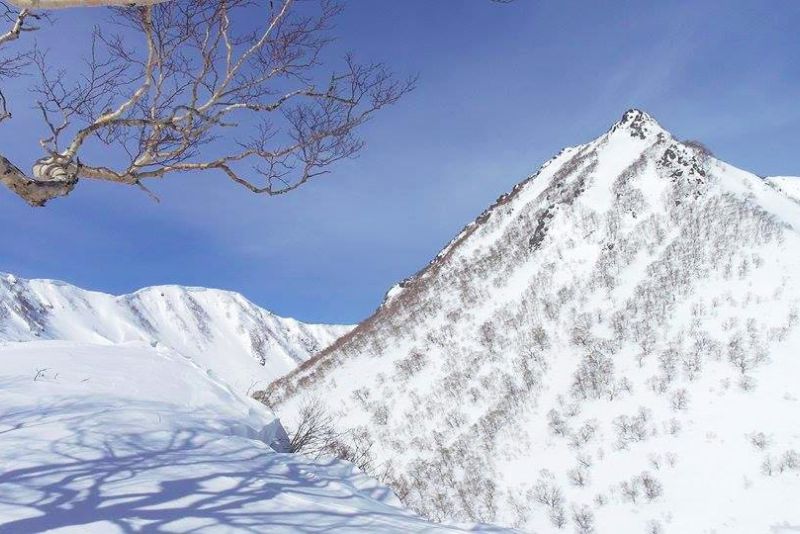 American Man Dies in Avalanche - Myoko Backcountry