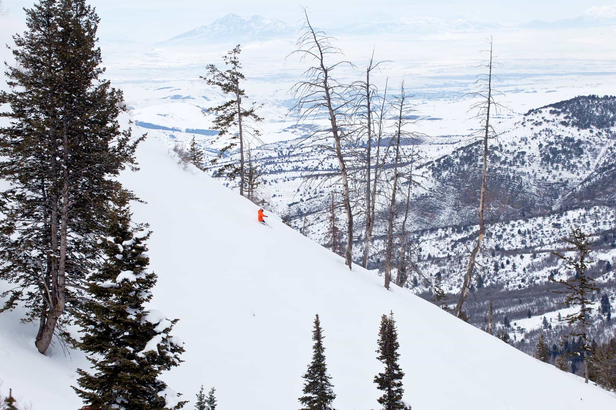 Skier on snowy slope with trees in the background