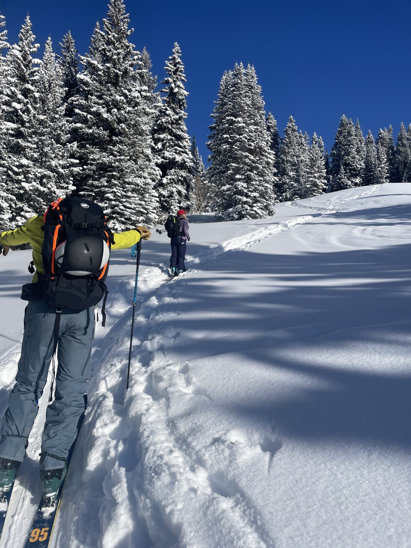 Enjoying the crisp morning through the trees. Photo Credit: SnowBrains