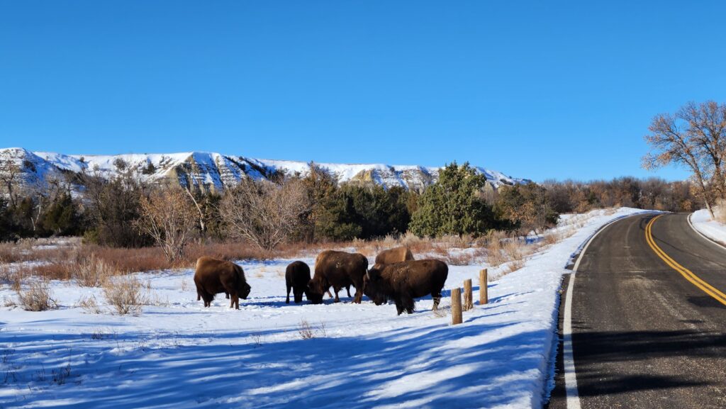 Theodore Roosevelt National Park. Photo Credit: Travel With Sara