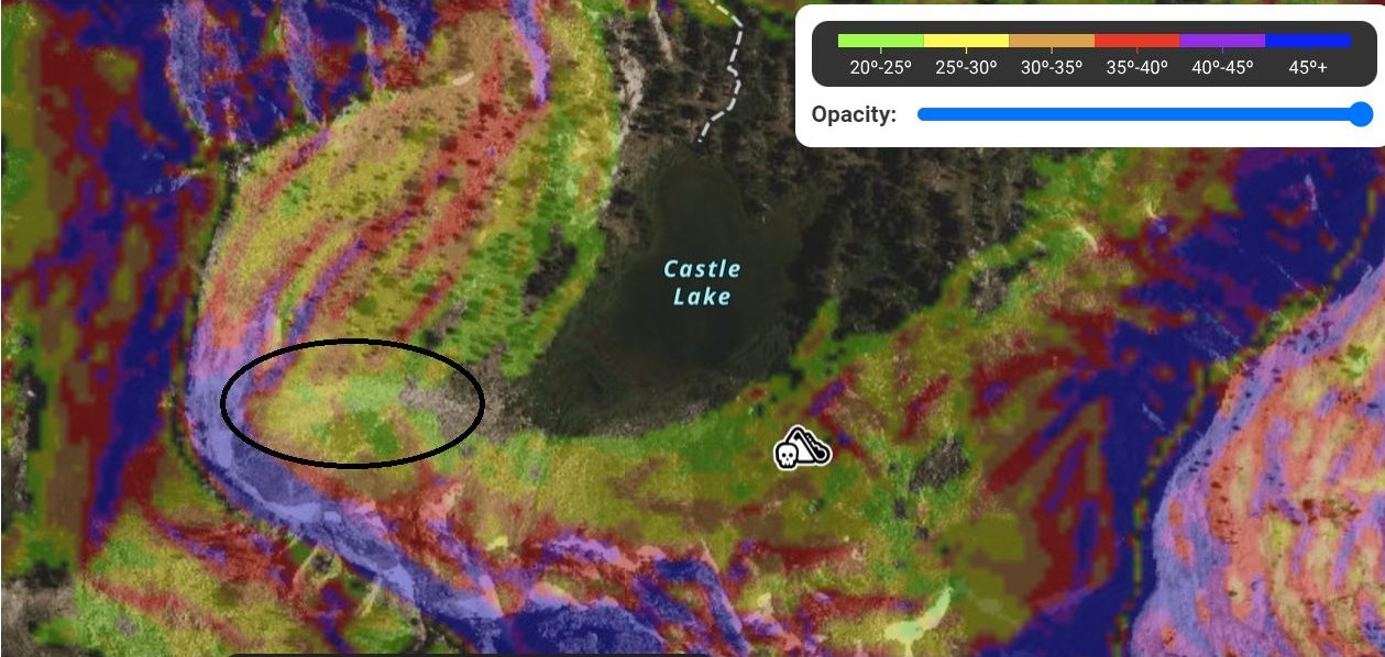 The slide occurred near Castle Lake on a NE aspect. 
