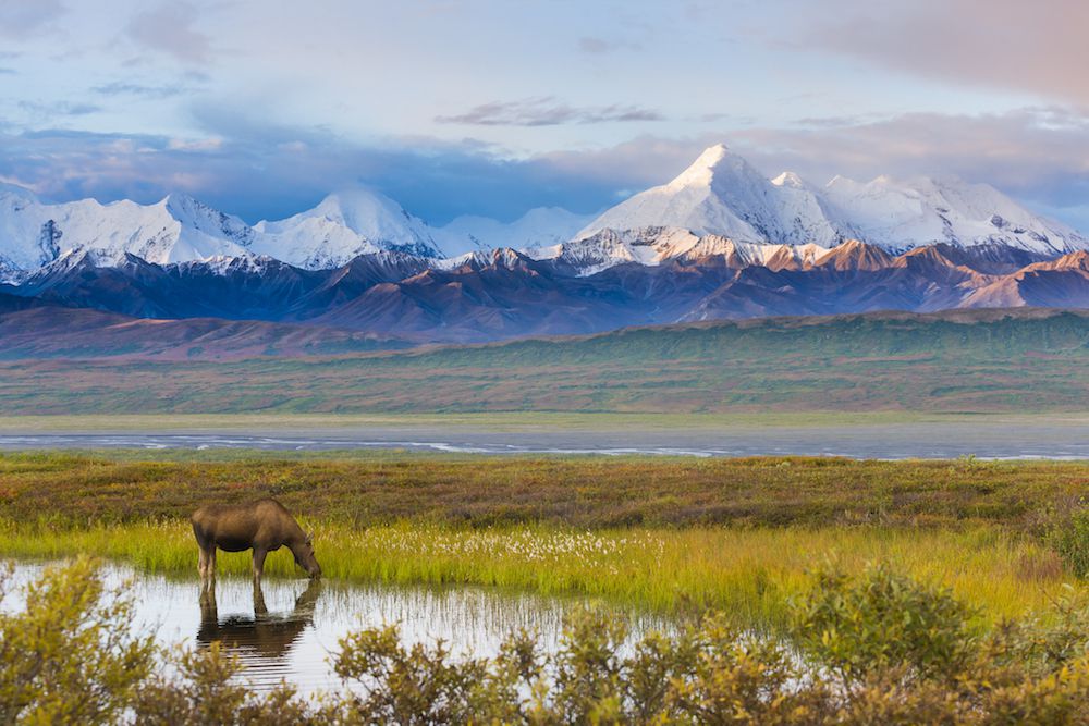 Alaska's desolate terrain. Photo Credit: Alaska.org
