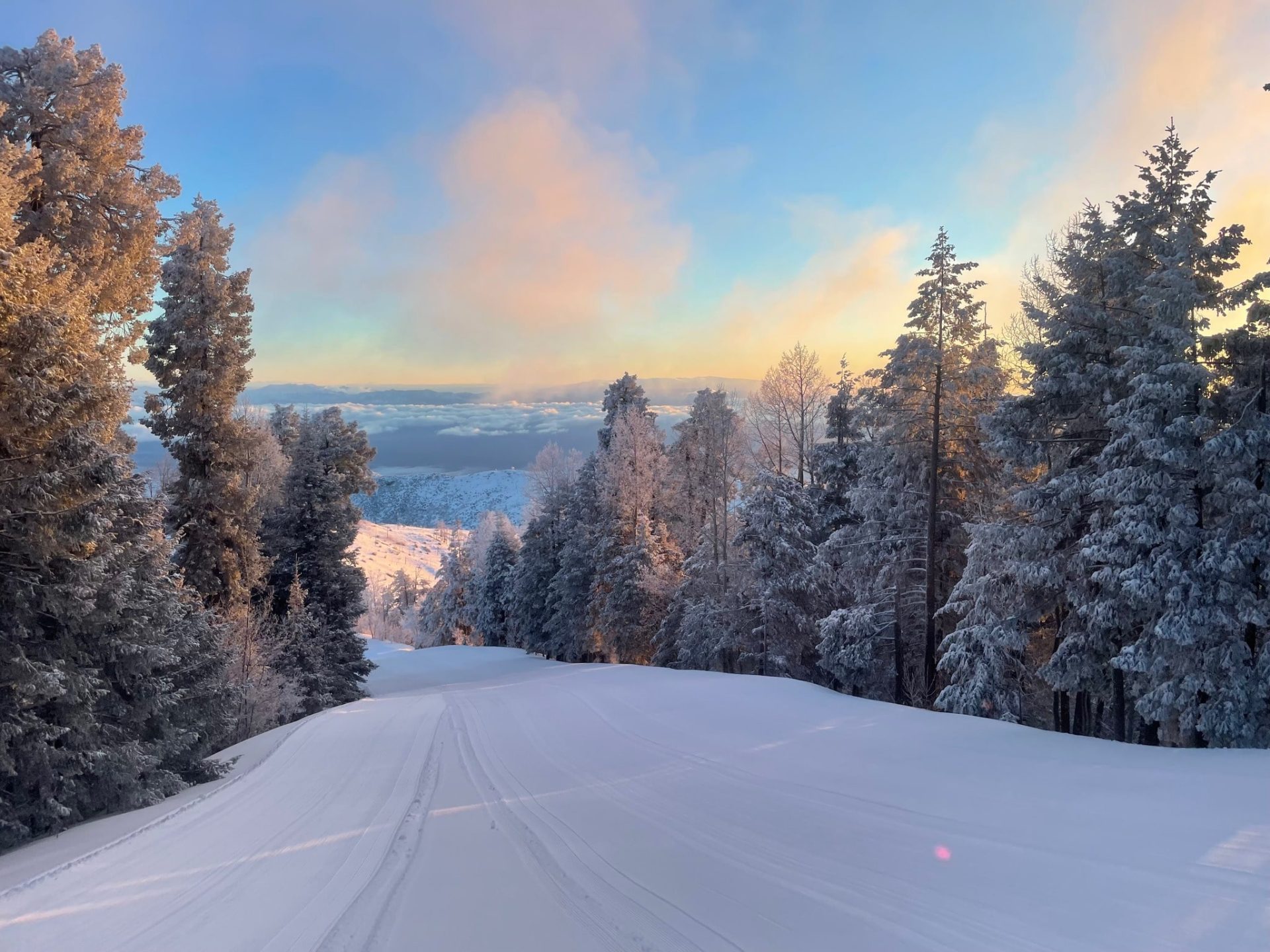 ski area arizona