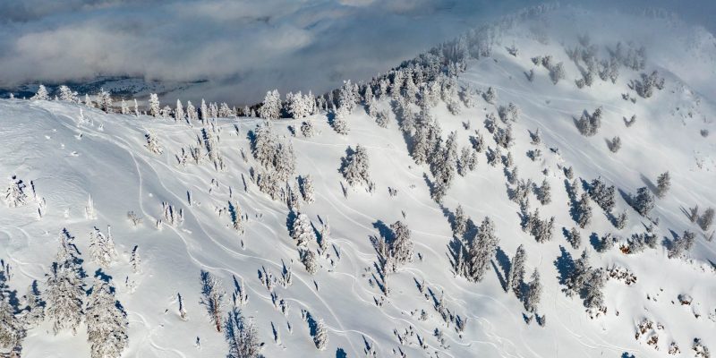 Powder Mountain fresh powder with few lines