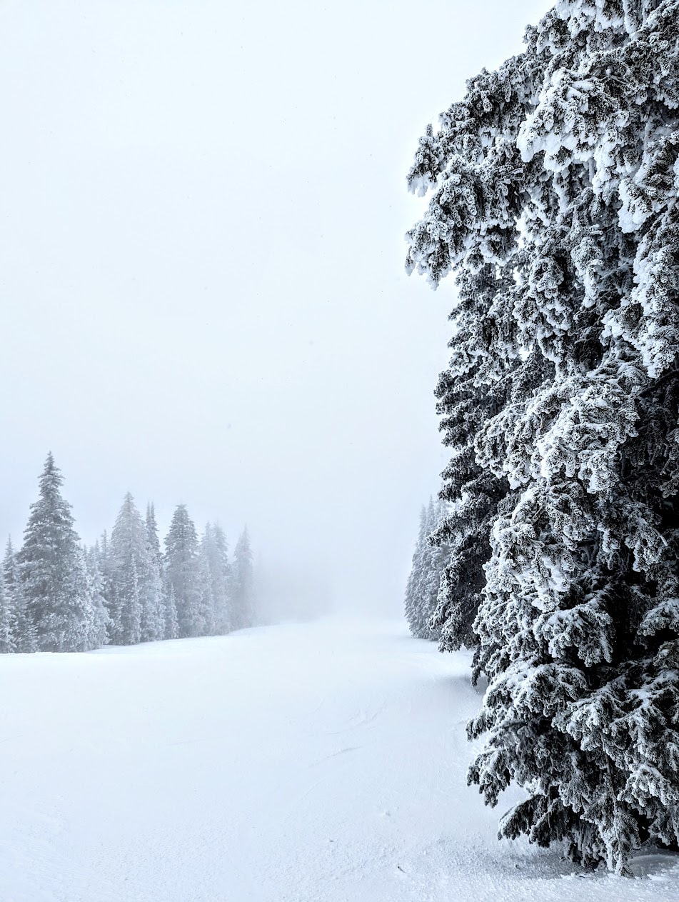 skiing new mexico powder