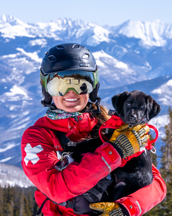 avalanche dog