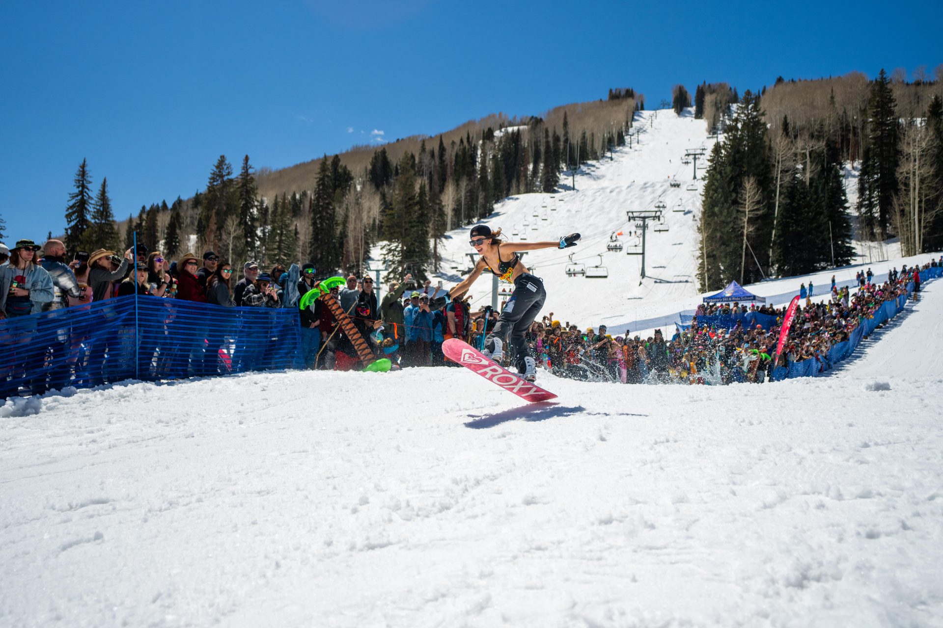 pond skim