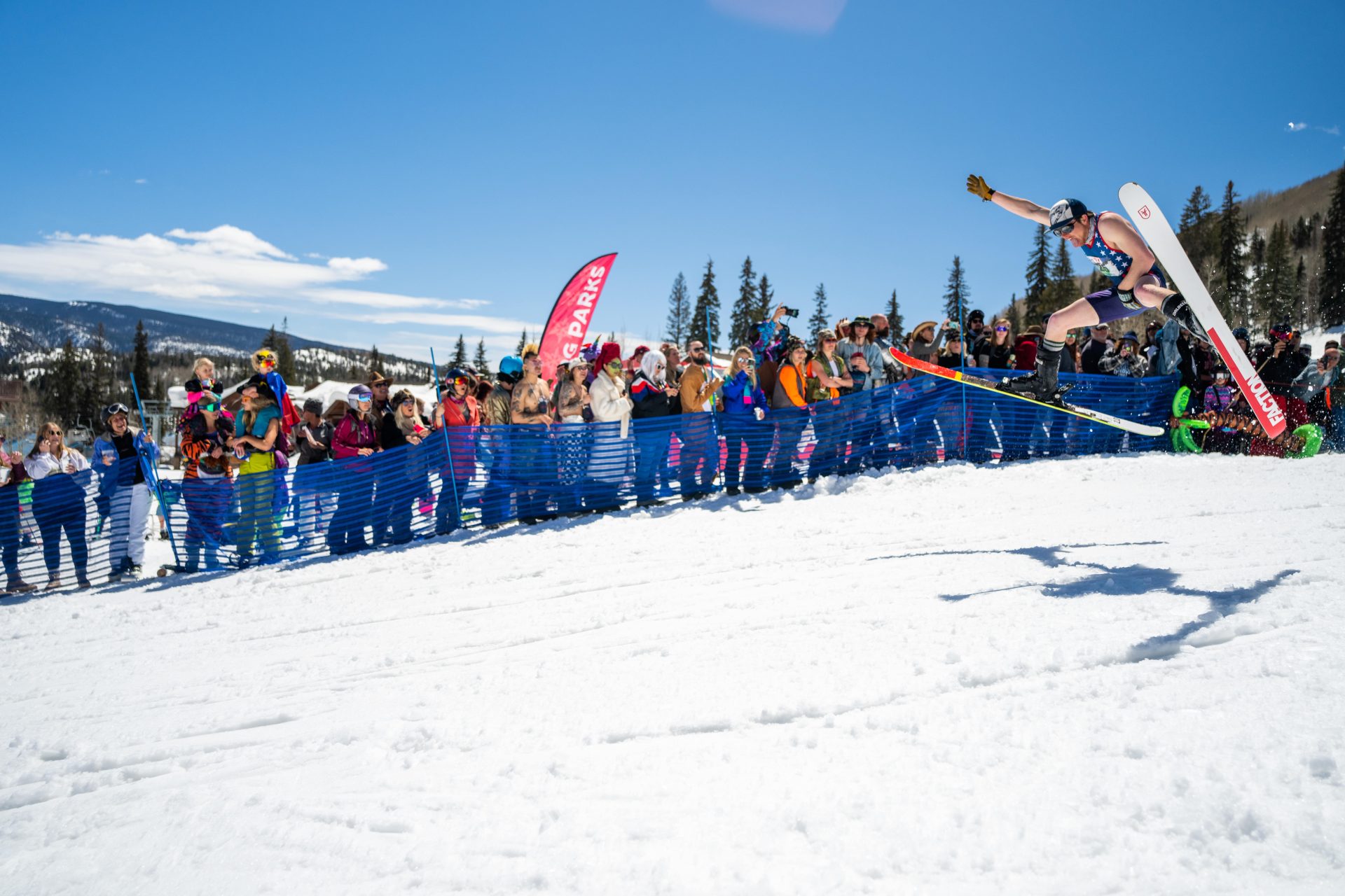 pond skim