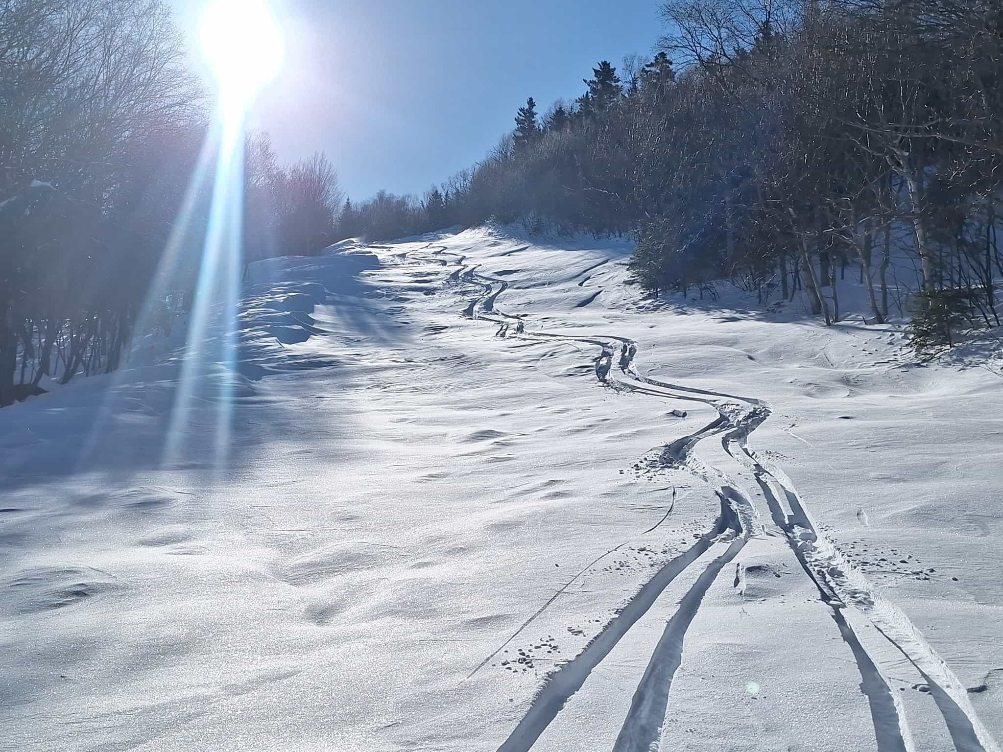 fresh tracks in deep powder