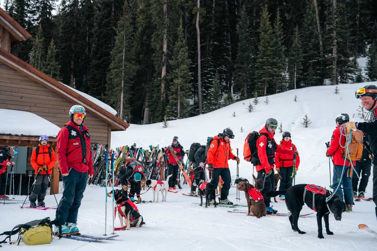 ski patrol and avalanche dog training at yellowstone club, big sky, montana