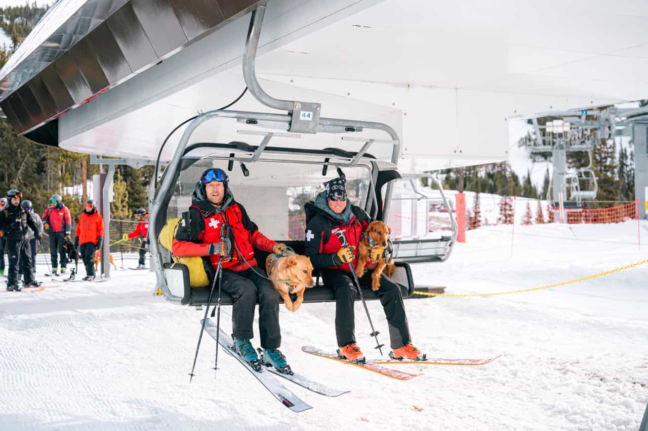 ski patrol and avalanche dog training at yellowstone club, big sky, montana