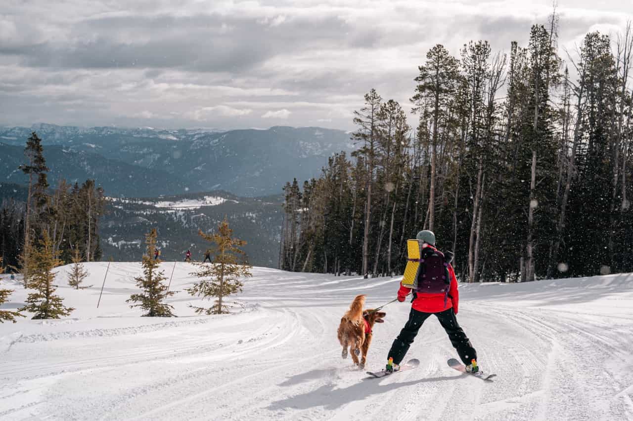 ski patrol and avalanche dog training at yellowstone club, big sky, montana