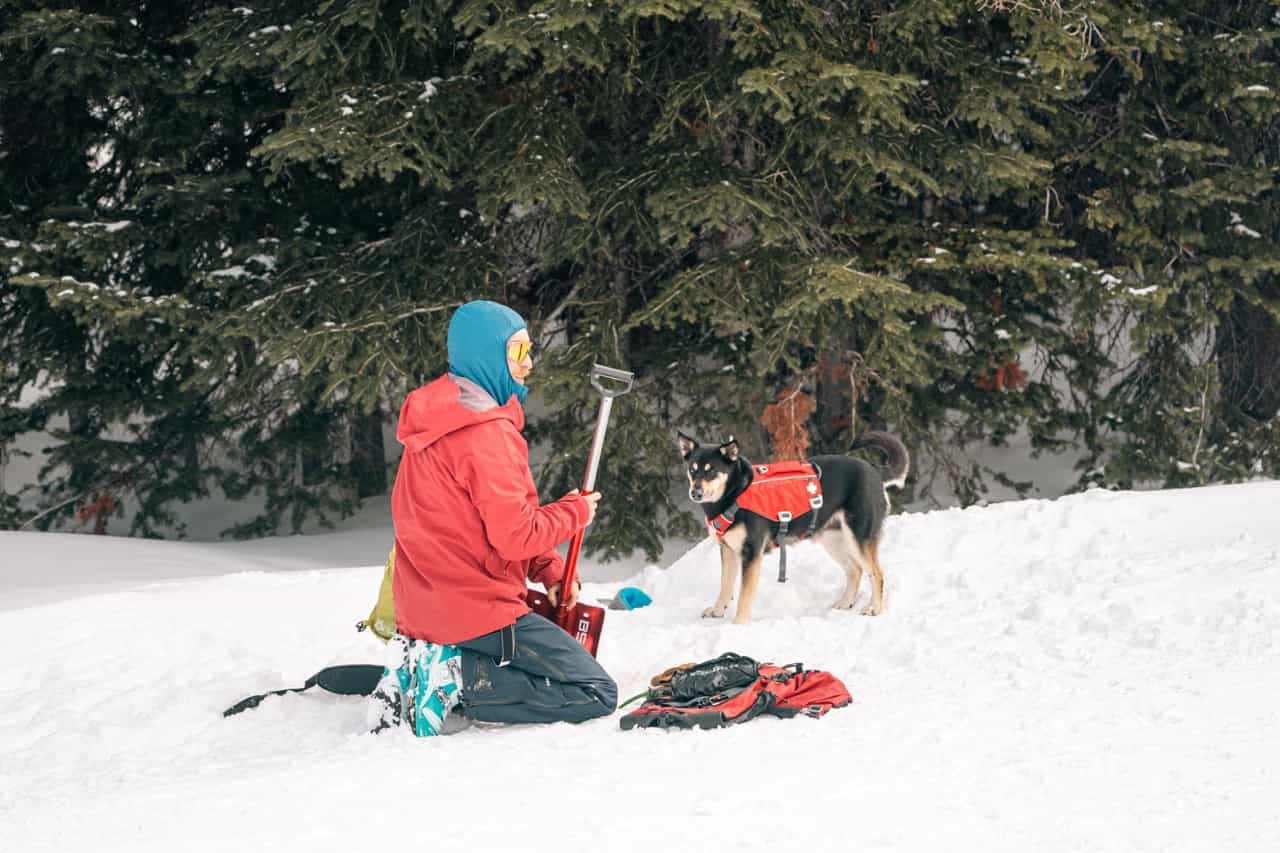 ski patrol and avalanche dog training at yellowstone club, big sky, montana