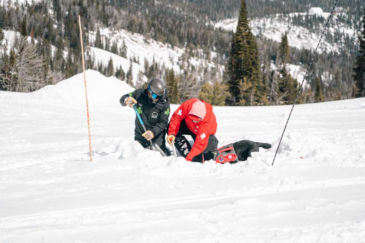 ski patrol and avalanche dog training at yellowstone club, big sky, montana
