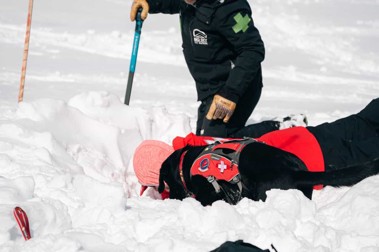 ski patrol and avalanche dog training at yellowstone club, big sky, montana