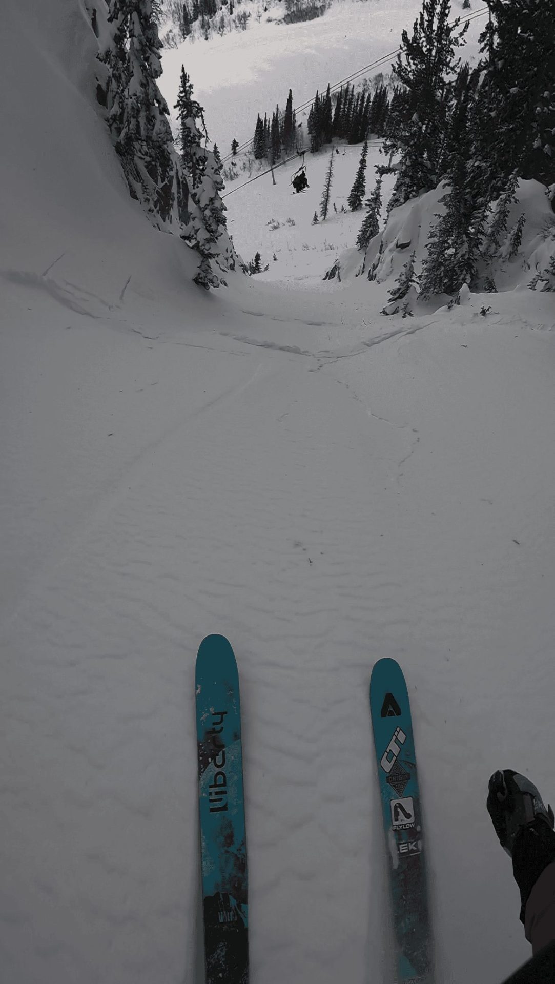 snowbird avalanche get serious chutes