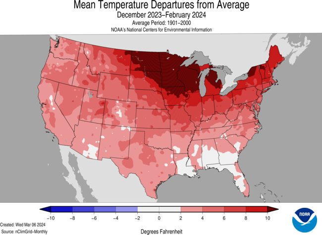 conus