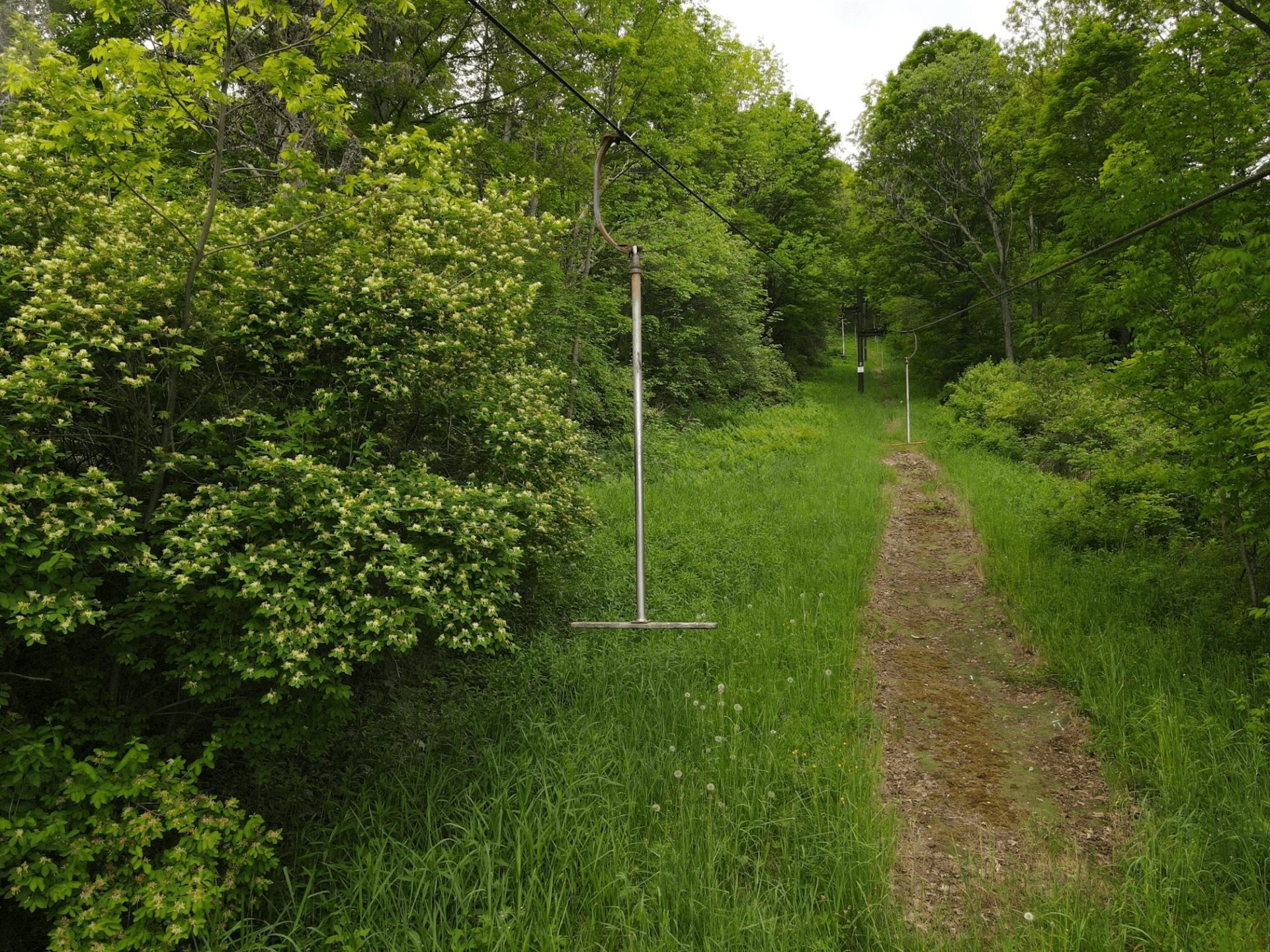 T-Bars made of Aluminum and Wood
