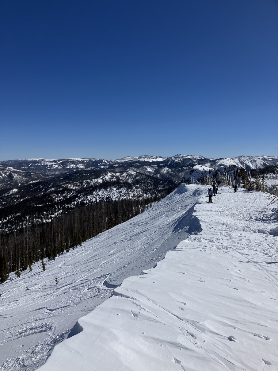 Fresh powder in the bowl