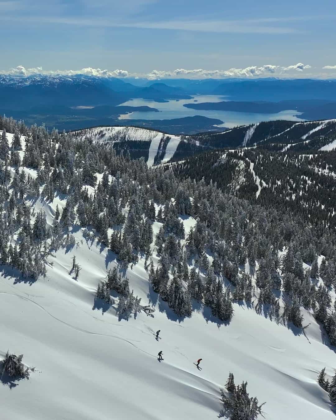 schweitzer purchases selkirk