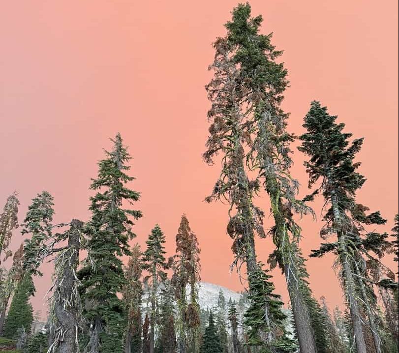 Lassen Volcanic National Park closed due to wildfire Park Fire