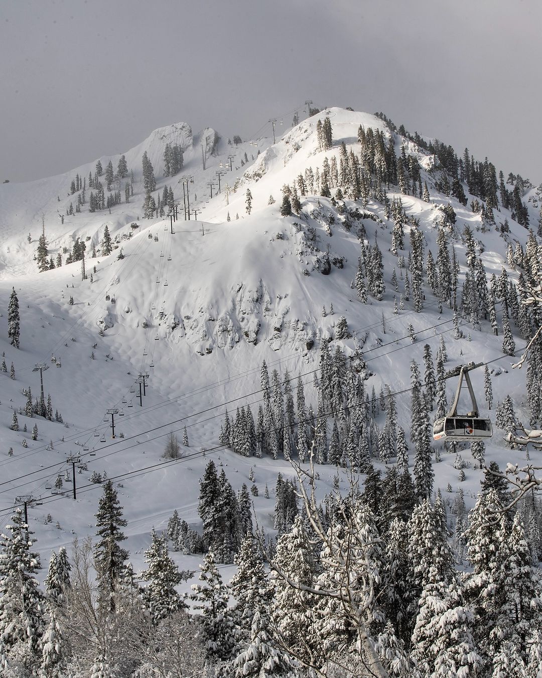 Palisades Tahoe is the top resorts of this professional freeskier