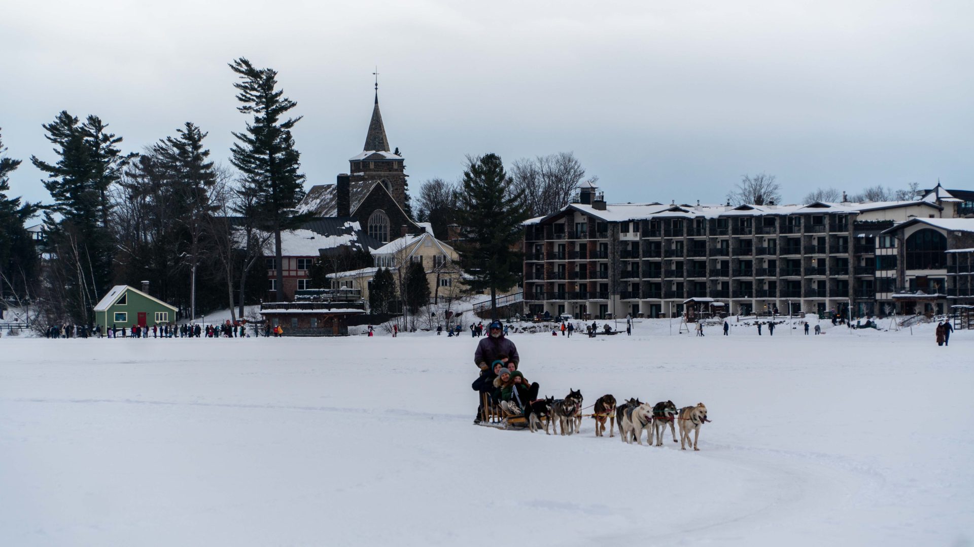Dog Sledding Lake Placid