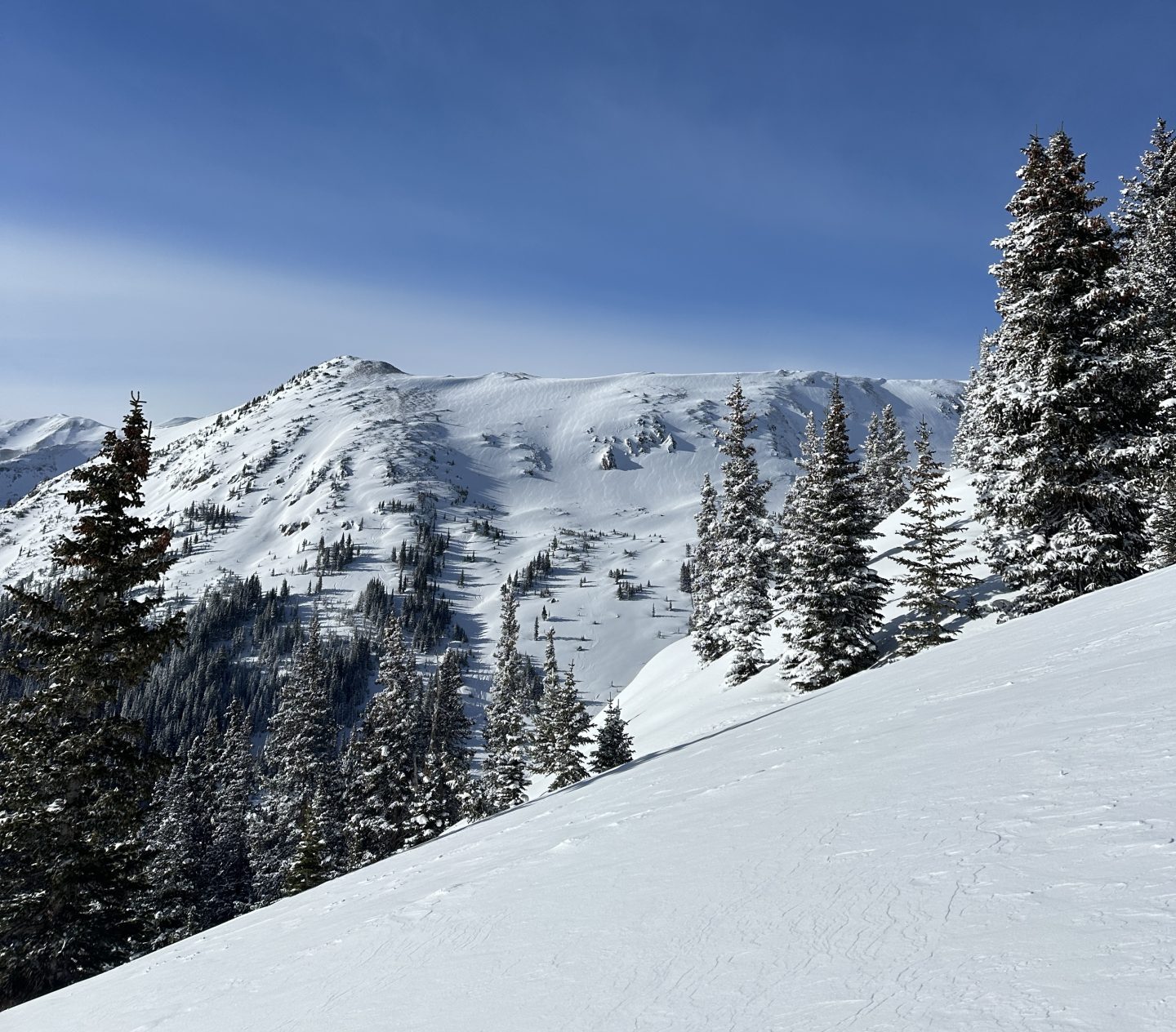 A fresh blanket of snow. Photo Credit: SnowBrains