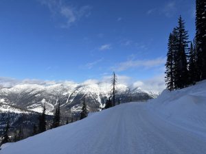 beacon searching in montana