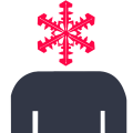 SnowBrains
