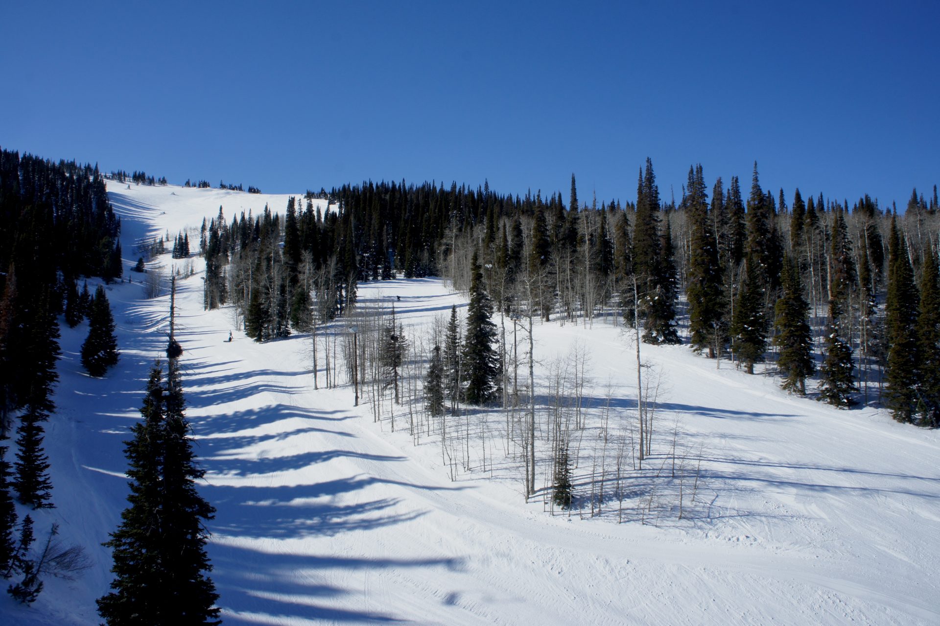 view of ski runs at pomerelle