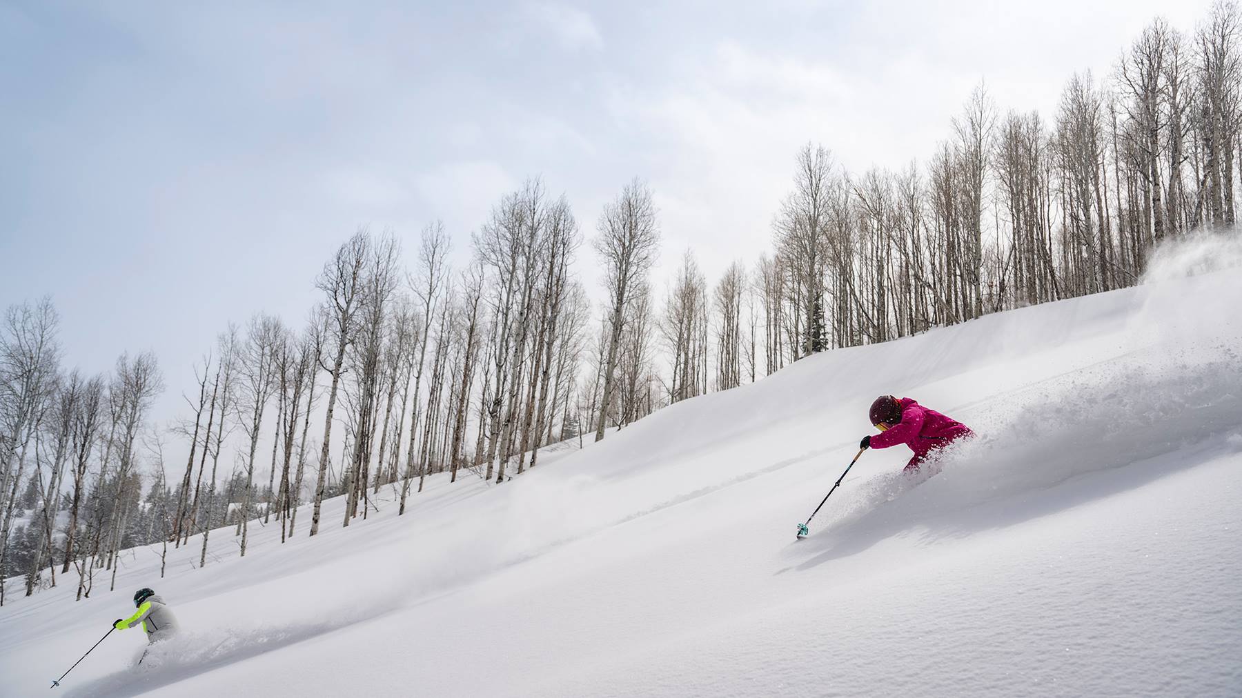 cat skiing