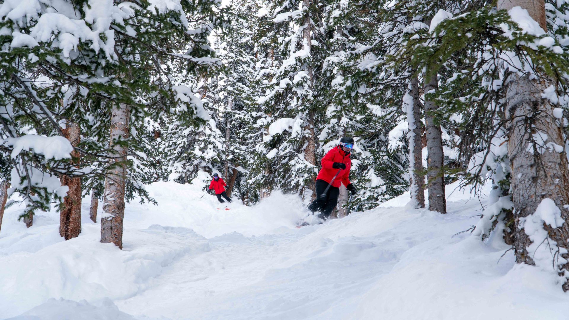 Arapahoe Basin Beavers