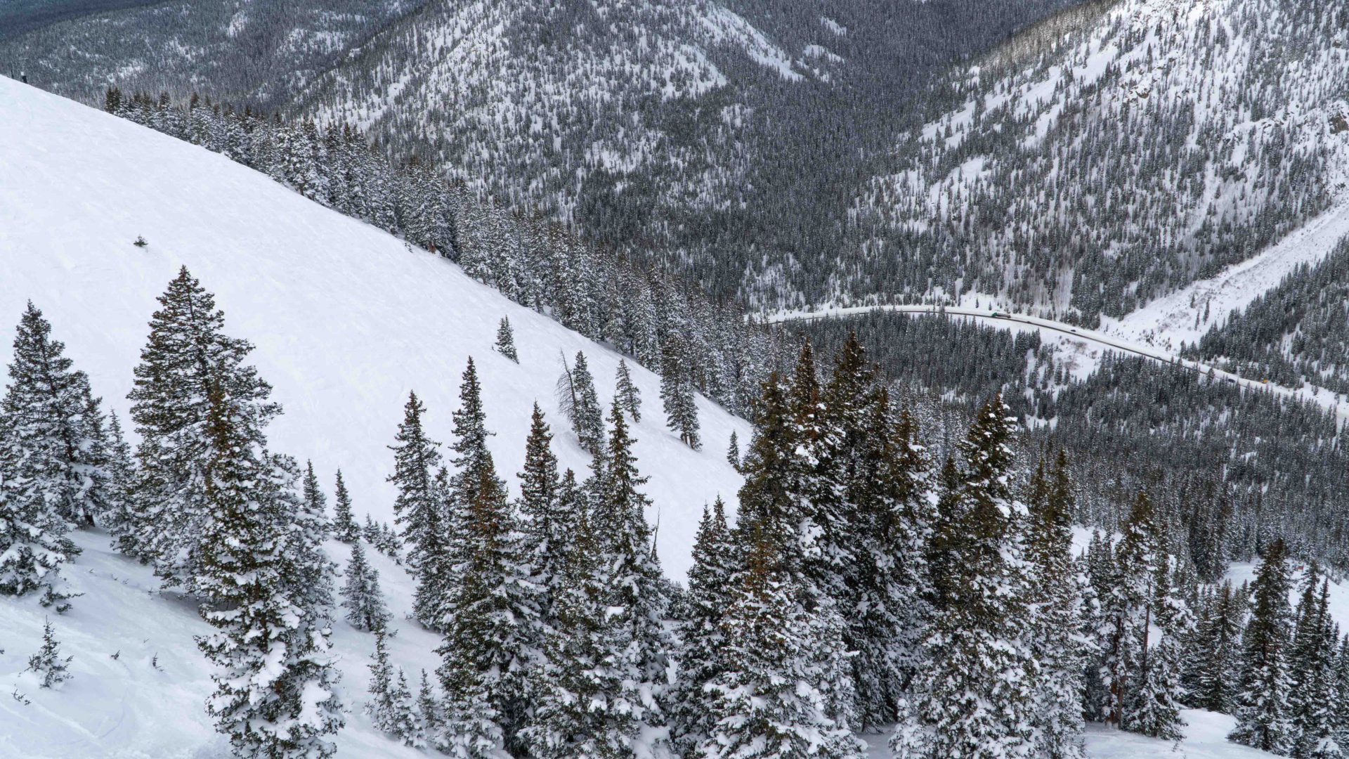Arapahoe Basin Pallavinci Bowl
