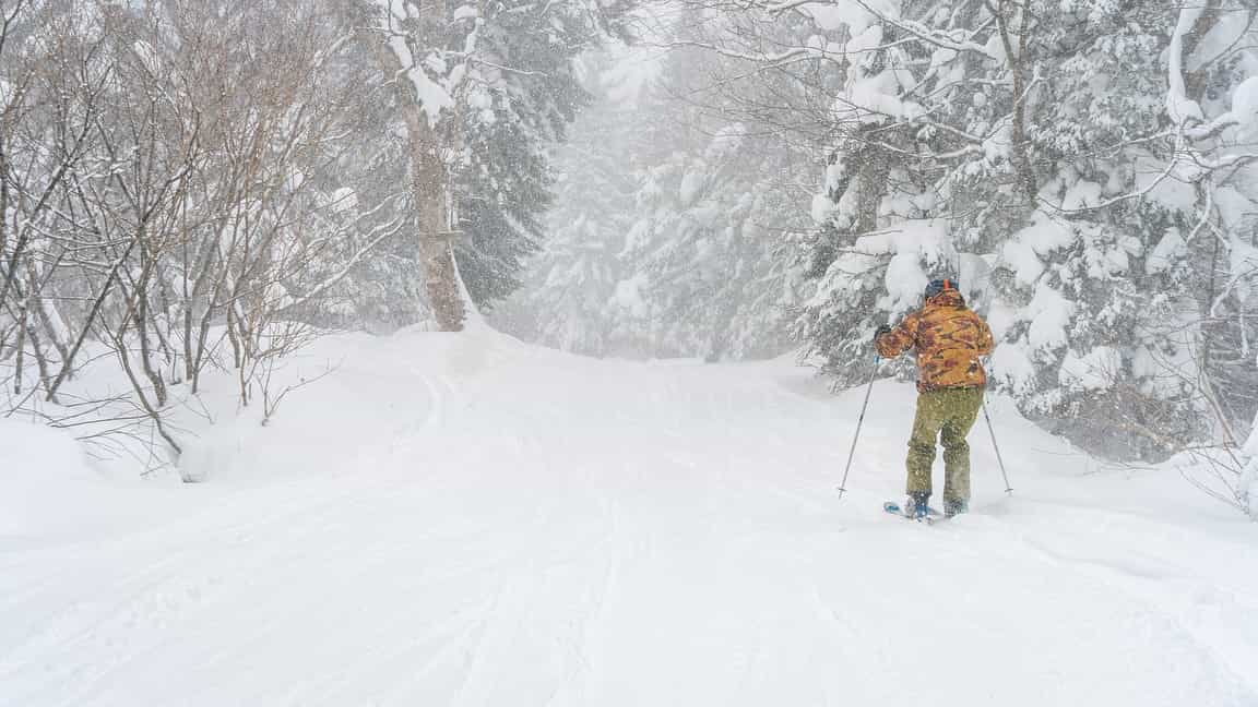 snowiest east coast resorts