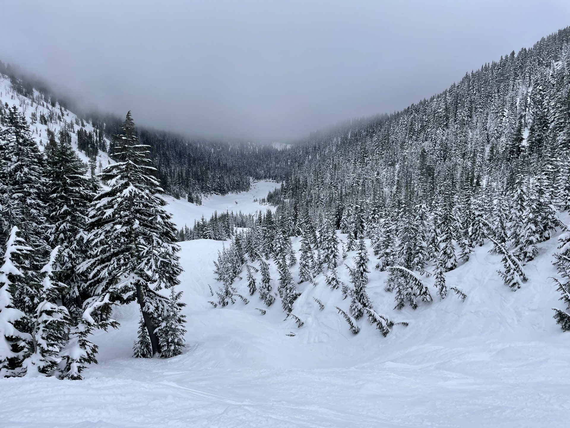 Looking down Heather Canyon Runout. Photo Credit: SnowBrains