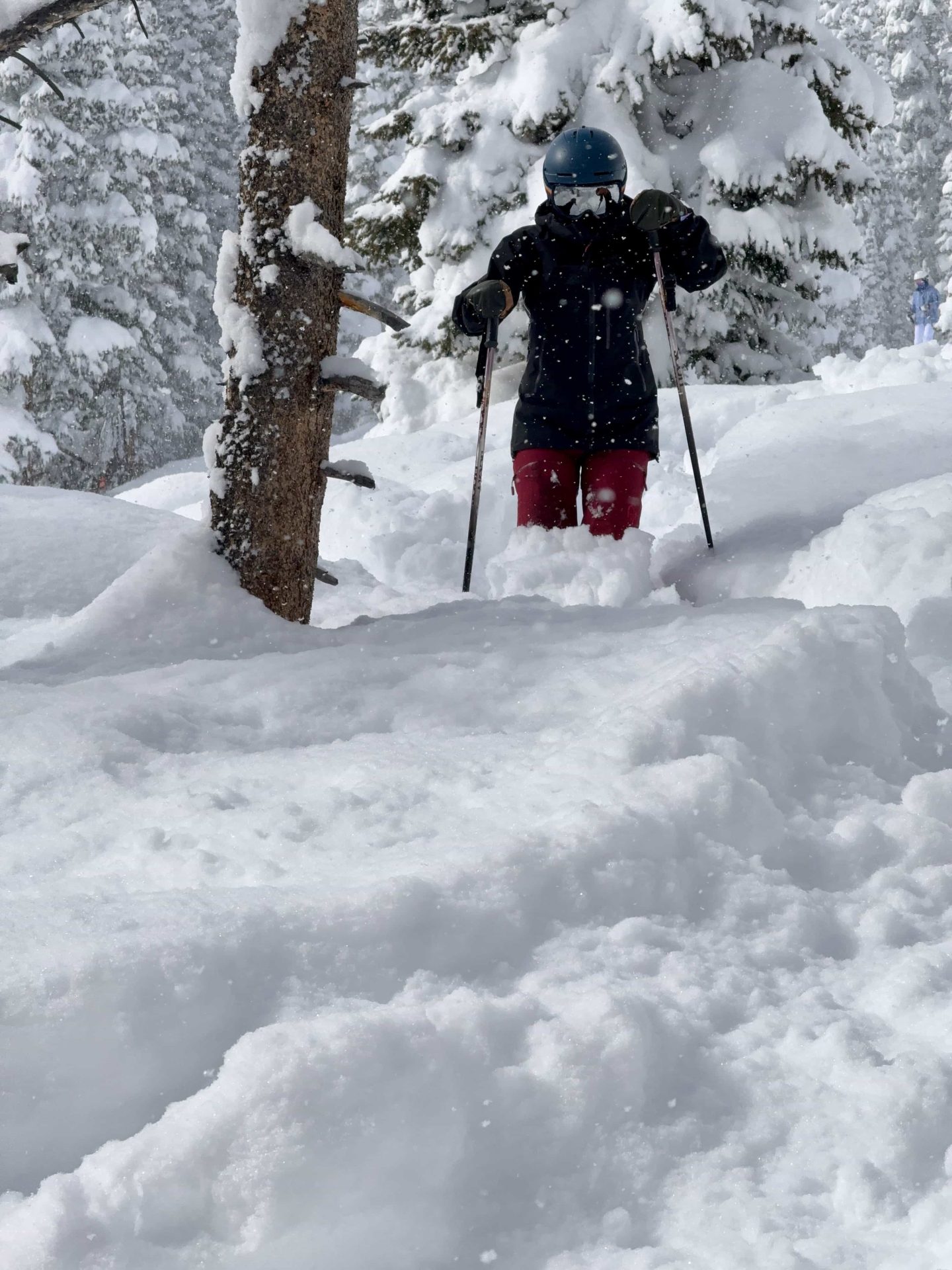winter park powder